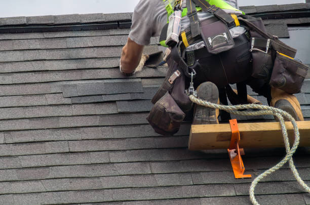 Best Roof Gutter Cleaning  in Hagaman, NY