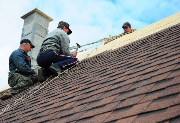 Roof Gutter Cleaning in Hagaman, NY